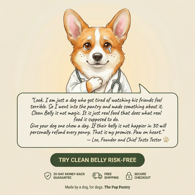 Clean Belly™ Gut Defense Hard Chew (whop)